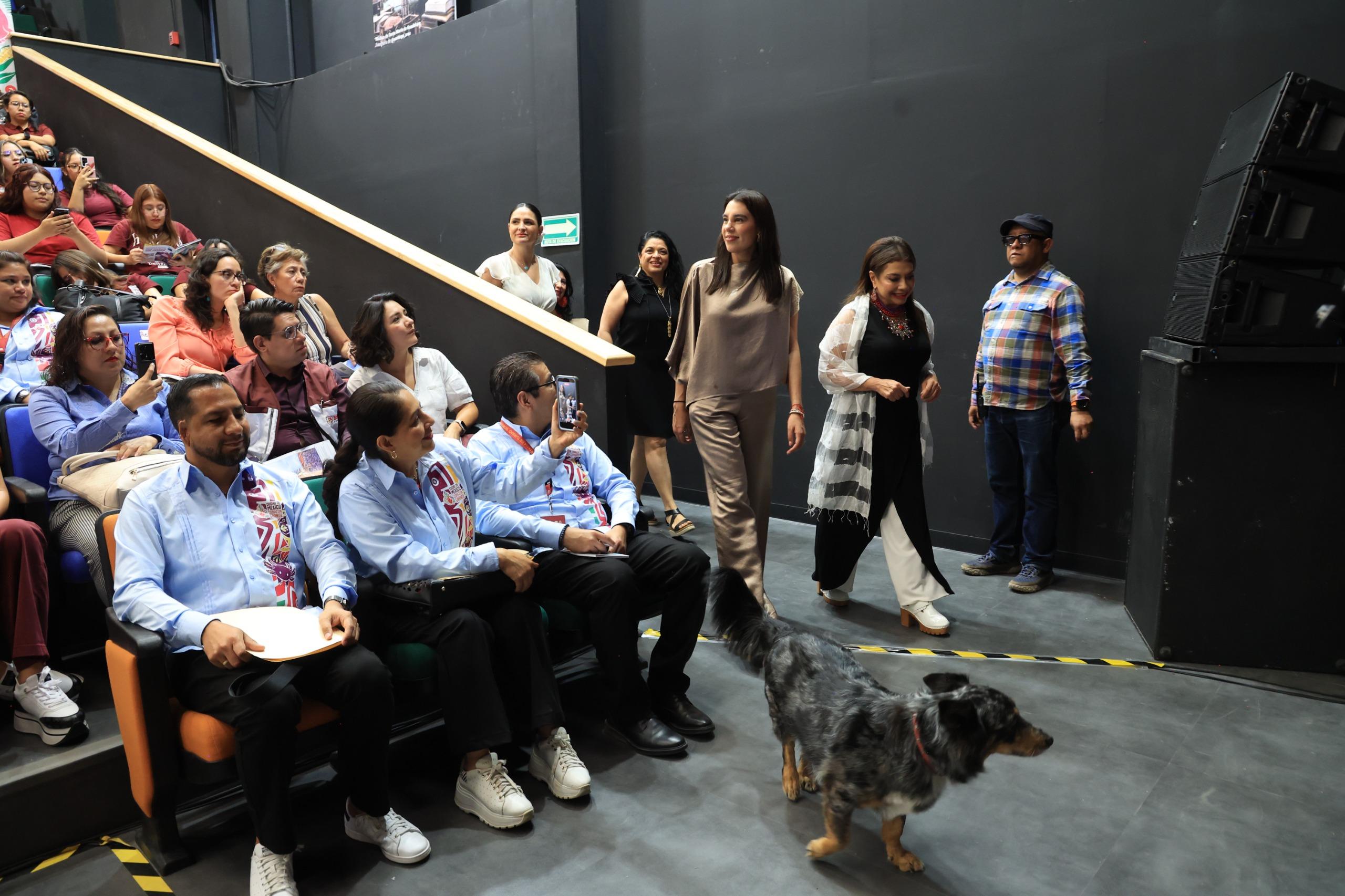 Ilustración de la nota