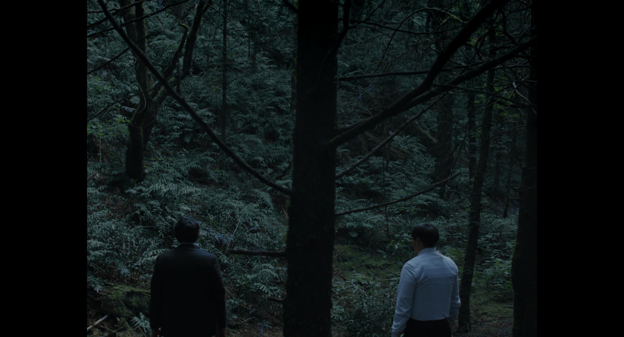 Ilustración de la nota